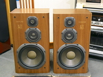 DS-77Z