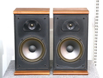 TSW210