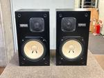 NS-10M