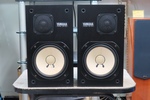 NS-10M