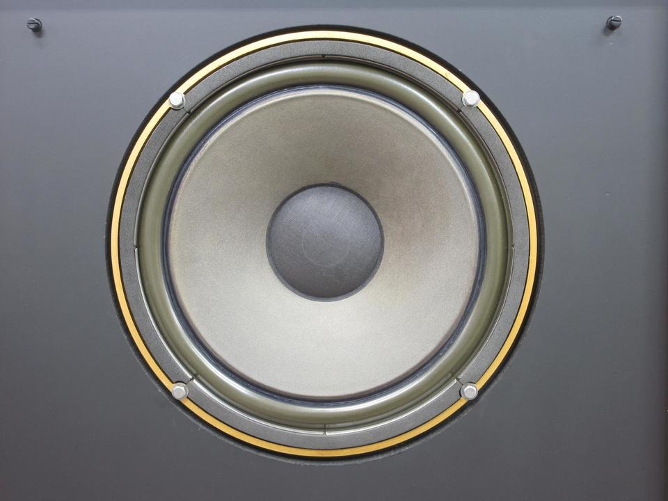 ARDEN TANNOY - 中古オーディオ 高価買取・販売 ハイファイ堂