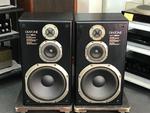 DS-77EX
