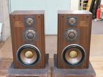 DS-1000