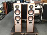 NS-300