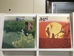 唱歌５枚セット