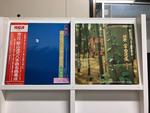 尺八５枚セット