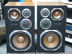 DS-505