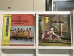 箏５枚セット