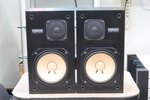 NS-10M