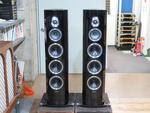 SONETTO 8