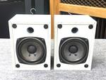 ESP-25