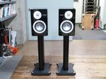 NS-3000
