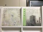 さだまさし5枚セット
