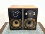 BEOVOX　1100