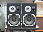 DS-10B