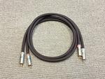 SL-10G/1.0m