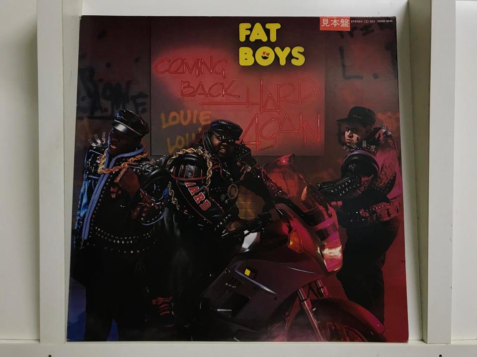 送料込み　名盤　HIPHOP WEST COST 5枚 レコードセット ヒップホップ5枚セット - 中古オーディオ 高価買取・販売 ハイファイ堂