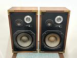 DS-251MK2