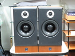 SCM19