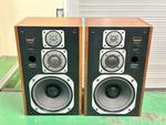 MONITOR 100R