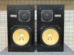NS-10M