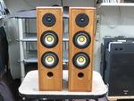 S-PM300